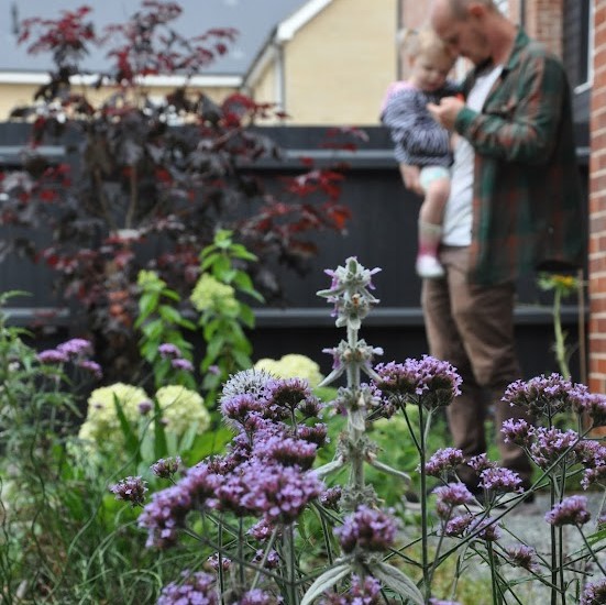 Contact Clark s Gardens Norwich